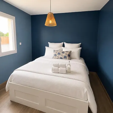 Villa With Jacuzzi In Bassin D'arcachon, 15 Min From Pilat